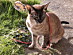 View full size picture