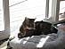 View full size picture