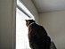 View full size picture