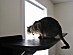 View full size picture