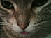 View full size picture