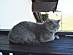 View full size picture