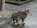 View full size picture