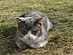 View full size picture