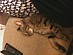 View full size picture