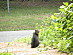 View full size picture