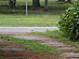 View full size picture