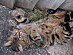 View full size picture