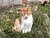View full size picture