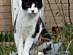 View full size picture