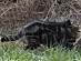 View full size picture