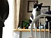 View full size picture