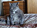 View full size picture