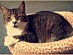 View full size picture