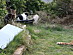 View full size picture