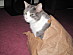 View full size picture