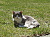 View full size picture