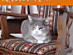 View full size picture