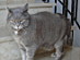 View full size picture
