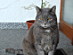 View full size picture