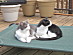 View full size picture