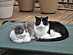 View full size picture