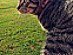 View full size picture