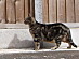 View full size picture