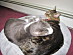 View full size picture