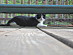 View full size picture