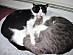 View full size picture