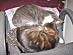 View full size picture