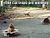 View full size picture