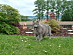 View full size picture