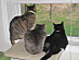 View full size picture