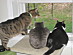 View full size picture