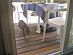 View full size picture