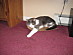 View full size picture