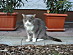 View full size picture