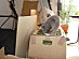 View full size picture
