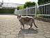 View full size picture