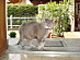View full size picture