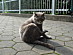 View full size picture