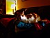 View full size picture