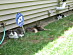 View full size picture