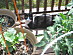 View full size picture