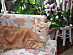 View full size picture