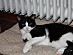 View full size picture
