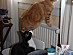 View full size picture