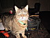 View full size picture